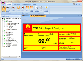 Dynamic Desktop Publishing